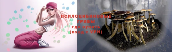 ALPHA PVP Абдулино