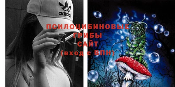амф Абаза